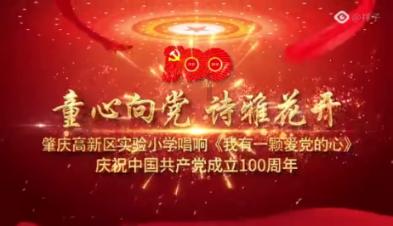植物大战僵尸17